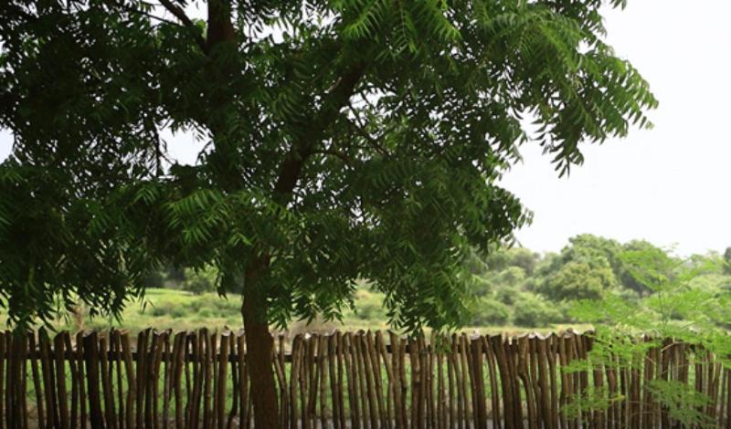 Yala Leopard Lodge Exterior photo
